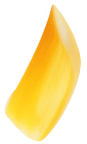 Decorativo 4