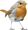 Foto de Fauna & Flora